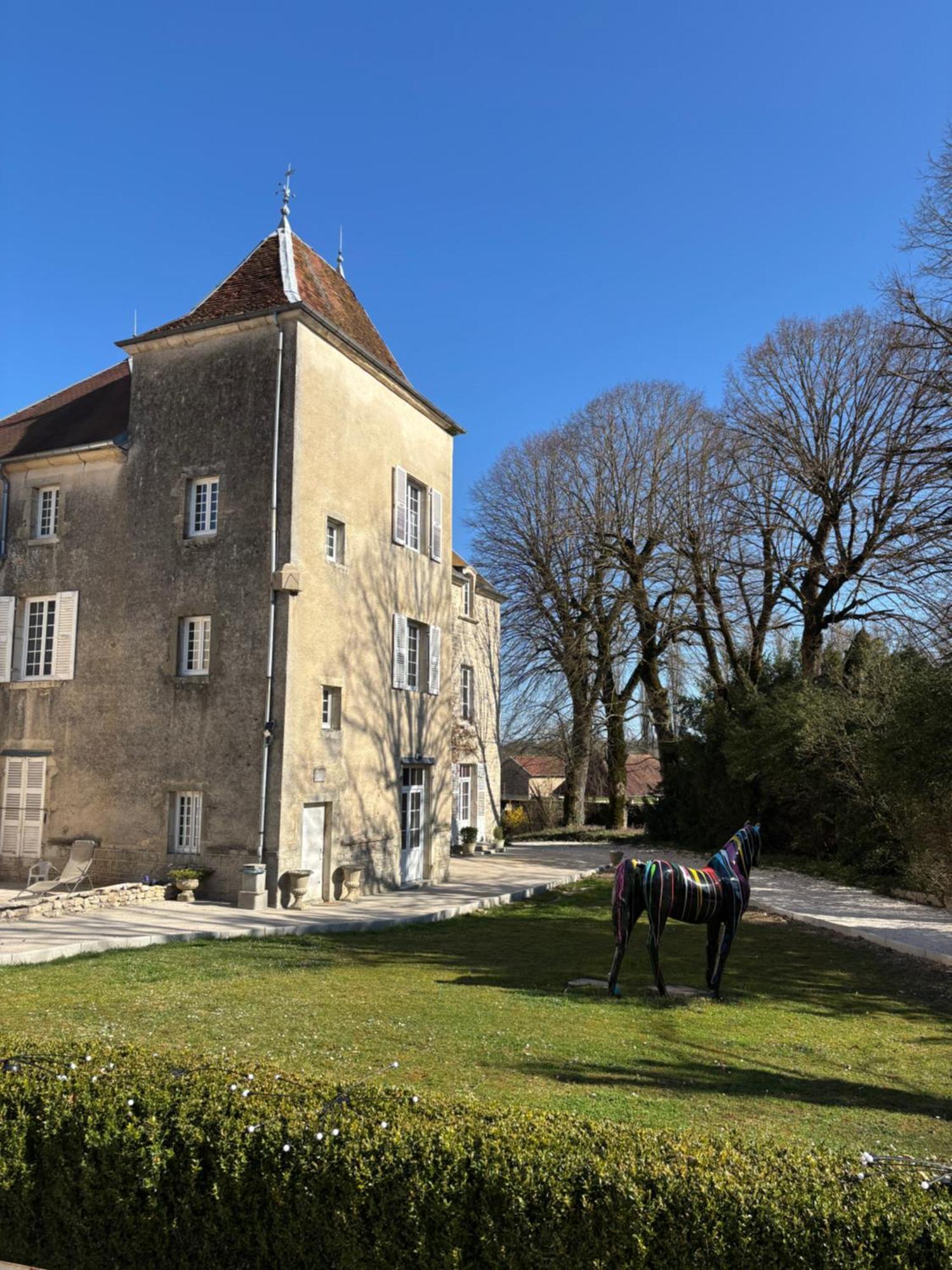 Chateau La Hussardiere Dampierre-sur-Salon Buitenkant foto